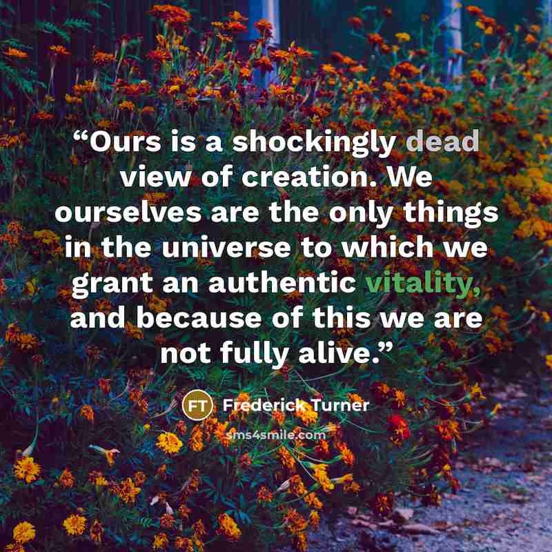 “Ours is a shockingly dead view of creation. We ourselves are the only things in the universe to which we grant an authentic vitality, and because of this we are not fully alive.” quote by Frederick Turner