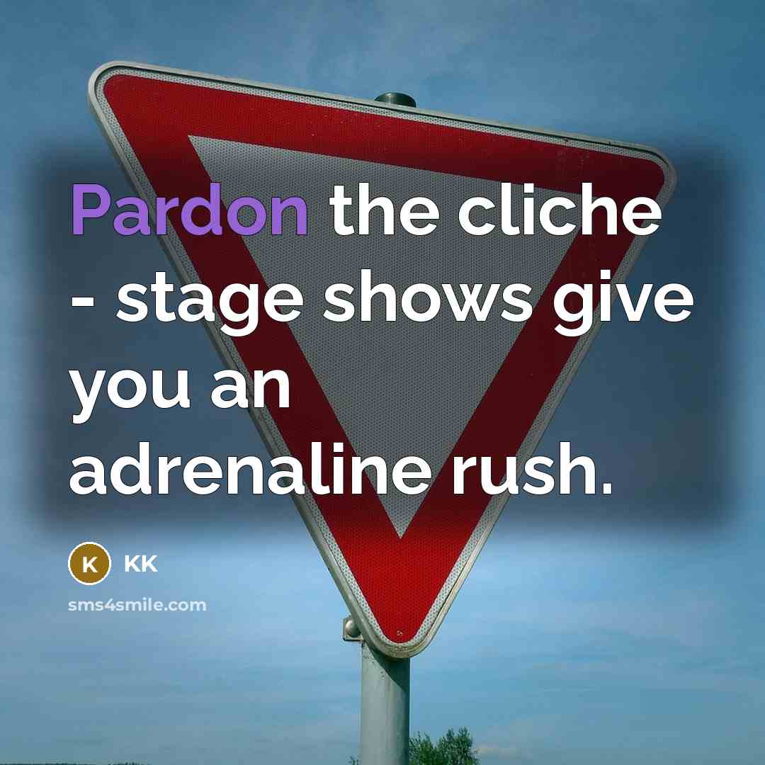 “Pardon the cliche - stage shows give you an adrenaline rush.” quote by KK
