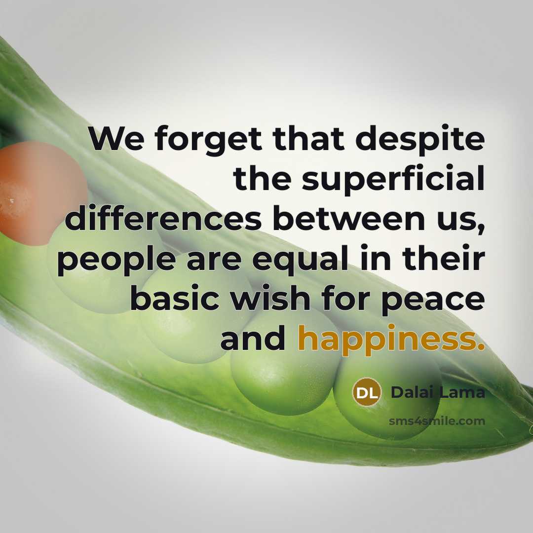 “We forget that despite the superficial differences between us, people are equal in their basic wish for peace and happiness.” quote by Dalai Lama