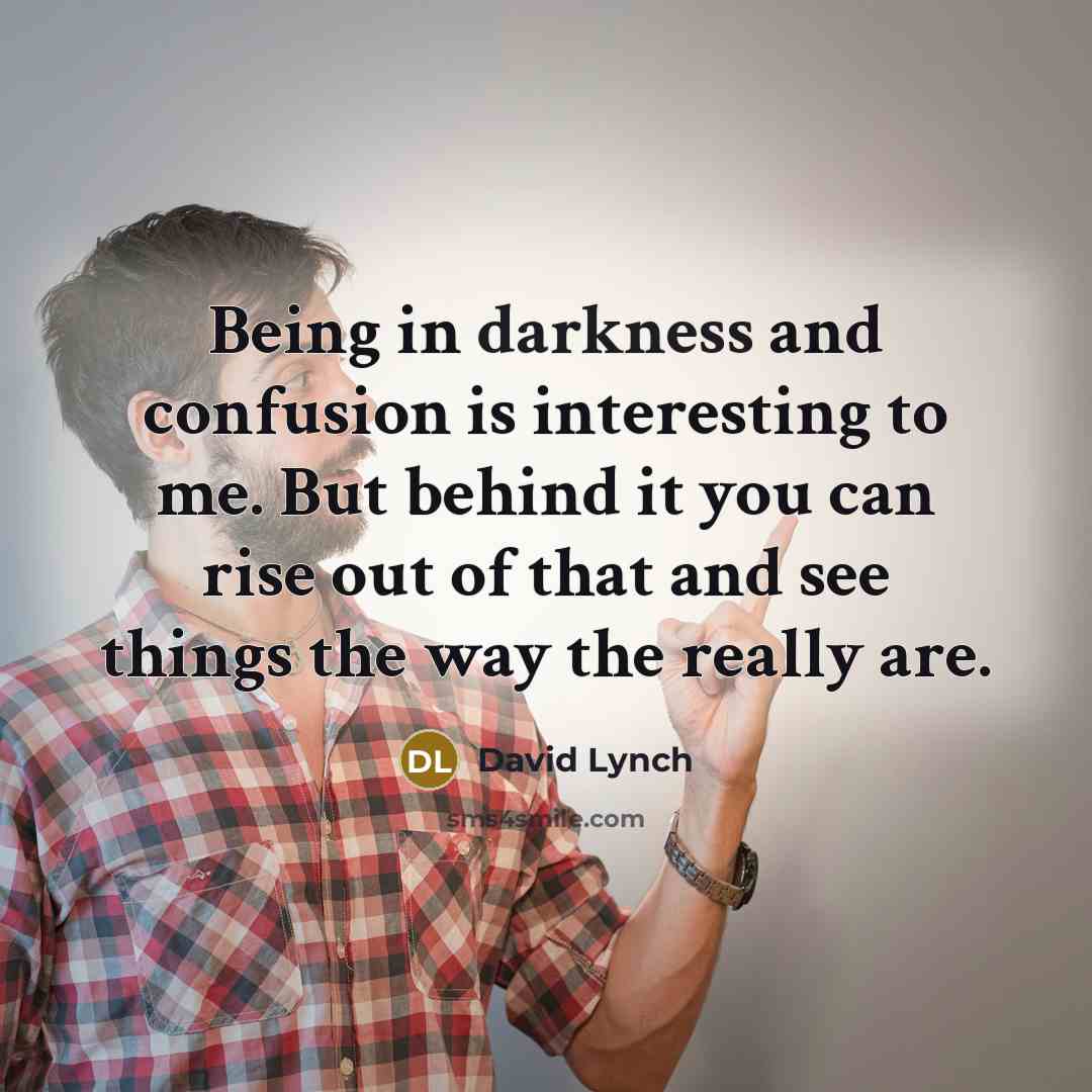 “Being in darkness and confusion is interesting to me. But behind it you can rise out of that and see things the way the really are.” quote by David Lynch