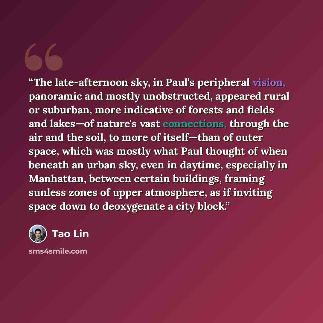 “The late-afternoon sky, in Paul's peripheral vision, panoramic and mostly unobstructed, appeared rural or suburban, more indicative of forests and fields and lakes—of nature's vast connections, through the air and the soil, to more of itself—than of outer space, which was mostly what Paul thought…” quote by Tao Lin