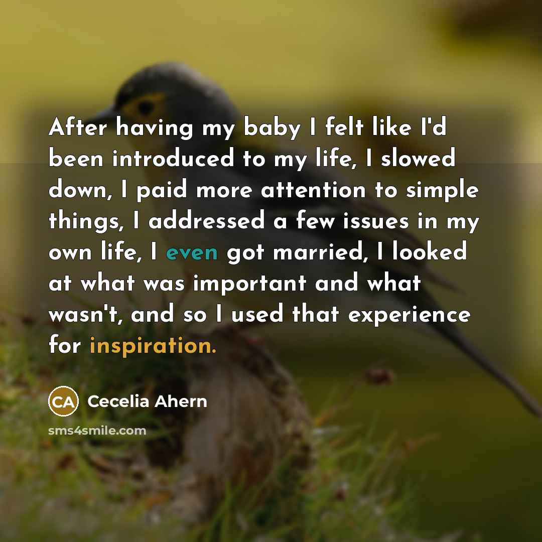 “After having my baby I felt like I'd been introduced to my life, I slowed down, I paid more attention to simple things, I addressed a few issues in my own life, I even got married, I looked at what was important and what wasn't, and so I used that experience for inspiration.” quote by Cecelia Ahern