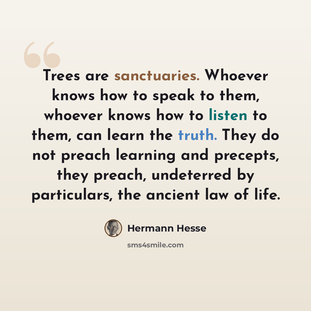 “Trees are sanctuaries. Whoever knows how to speak to them, whoever knows how to listen to them, can learn the truth. They do not preach learning and precepts, they preach, undeterred by particulars, the ancient law of life.” quote by Hermann Hesse