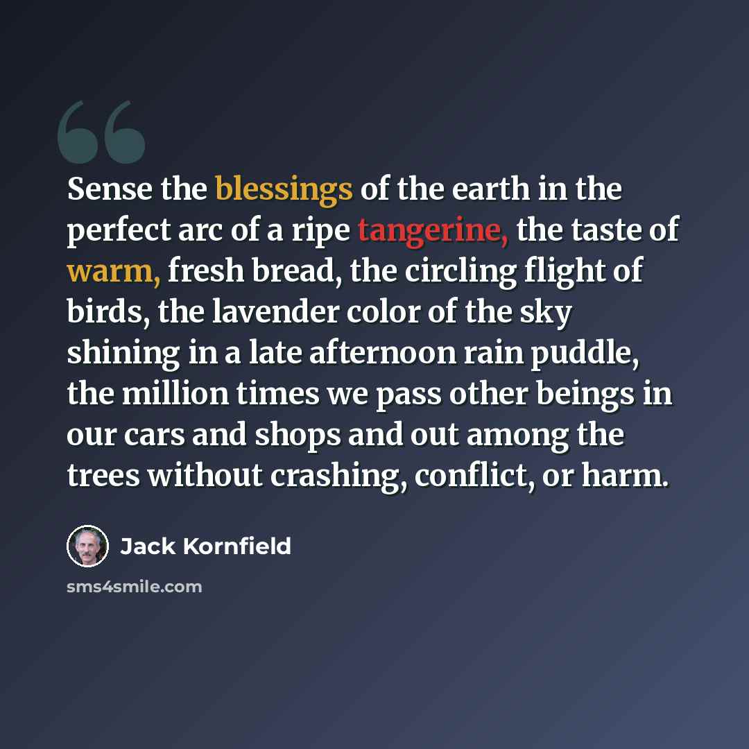 “Sense the blessings of the earth in the perfect arc of a ripe tangerine, the taste of warm, fresh bread, the circling flight of birds, the lavender color of the sky shining in a late afternoon rain puddle, the million times we pass other beings in our cars and shops and out among the trees without…” quote by Jack Kornfield