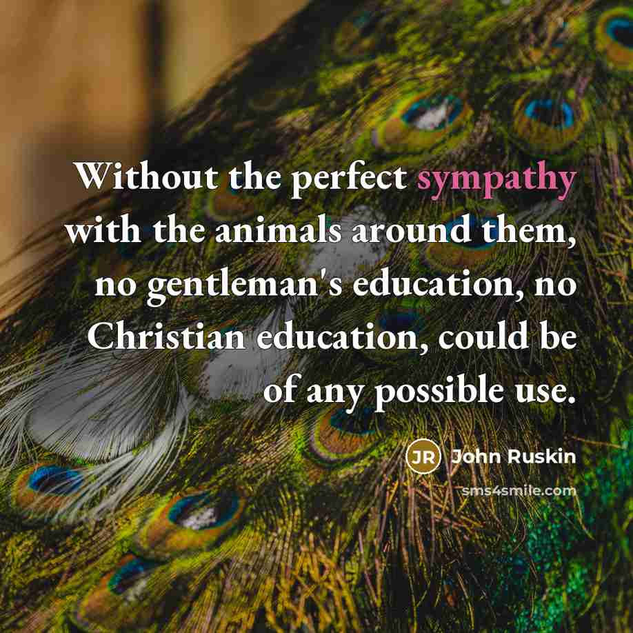 “Without the perfect sympathy with the animals around them, no gentleman's education, no Christian education, could be of any possible use.” quote by John Ruskin