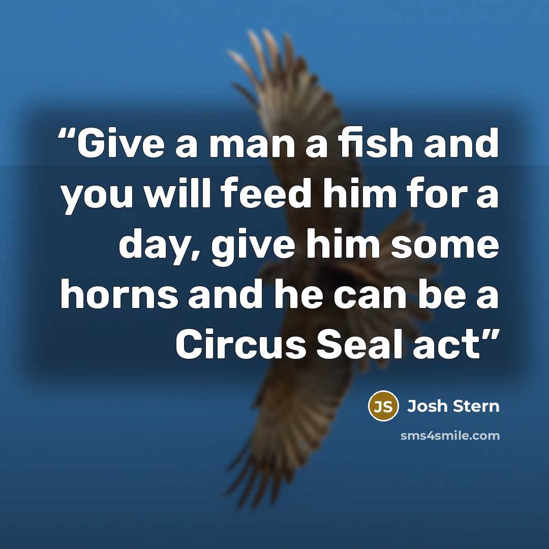 “Give a man a fish and you will feed him for a day, give him some horns and he can be a Circus Seal act” quote by Josh Stern