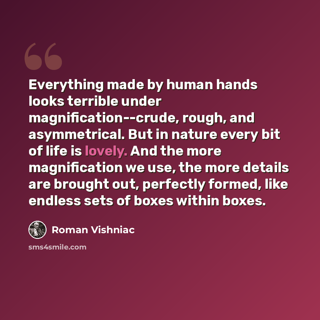 “Everything made by human hands looks terrible under magnification--crude, rough, and asymmetrical. But in nature every bit of life is lovely. And the more magnification we use, the more details are brought out, perfectly formed, like endless sets of boxes within boxes.” quote by Roman Vishniac
