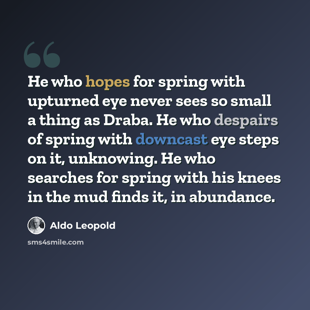“He who hopes for spring with upturned eye never sees so small a thing as Draba. He who despairs of spring with downcast eye steps on it, unknowing. He who searches for spring with his knees in the mud finds it, in abundance.” quote by Aldo Leopold