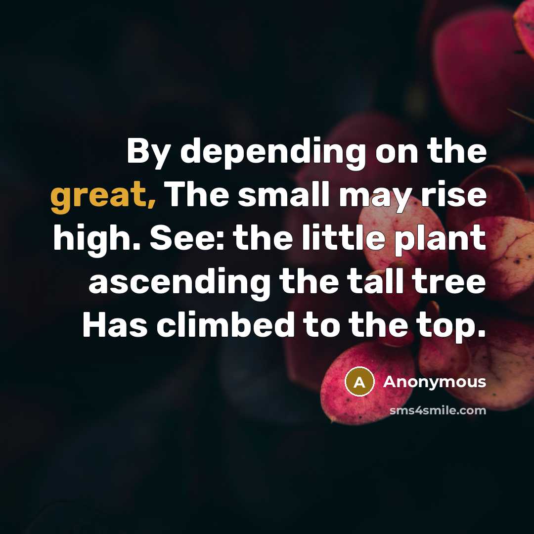 “By depending on the great, The small may rise high. See: the little plant ascending the tall tree Has climbed to the top.” quote by Anonymous