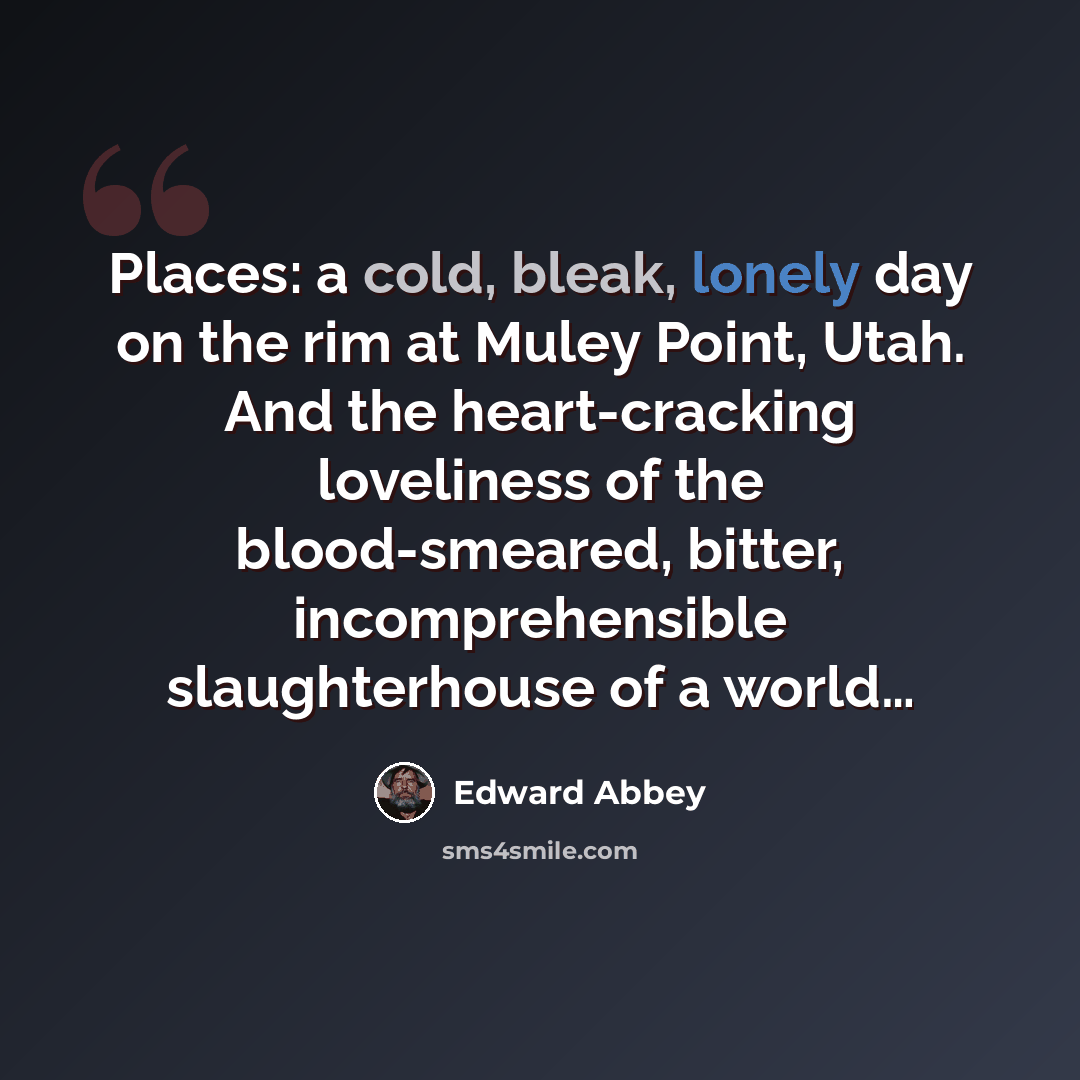 “Places: a cold, bleak, lonely day on the rim at Muley Point, Utah. And the heart-cracking loveliness of the blood-smeared, bitter, incomprehensible slaughterhouse of a world…” quote by Edward Abbey