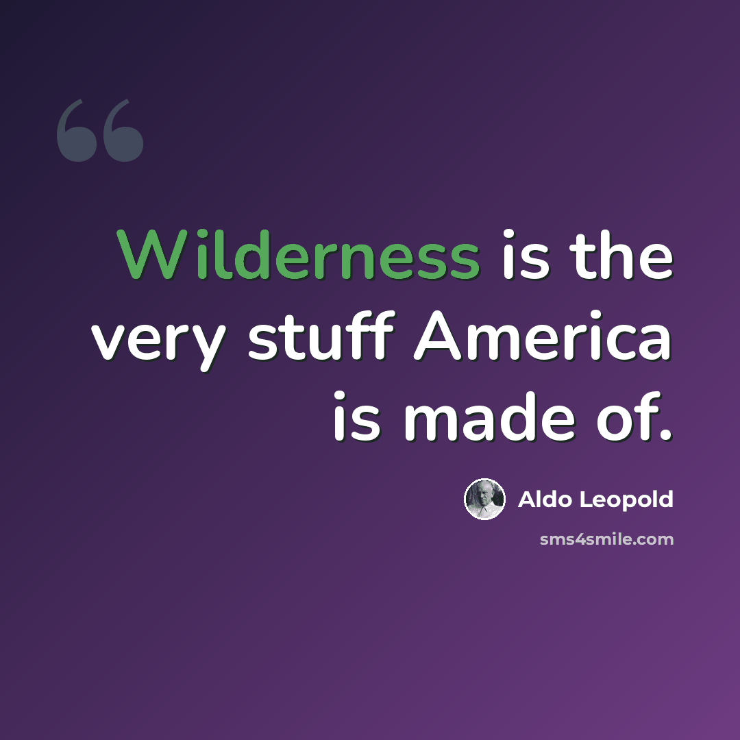 “Wilderness is the very stuff America is made of.” quote by Aldo Leopold