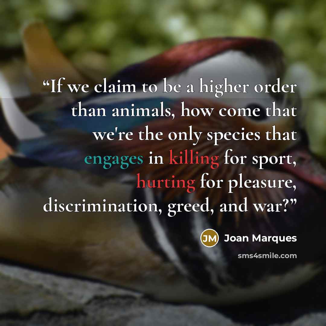 “If we claim to be a higher order than animals, how come that we're the only species that engages in killing for sport, hurting for pleasure, discrimination, greed, and war?” quote by Joan Marques