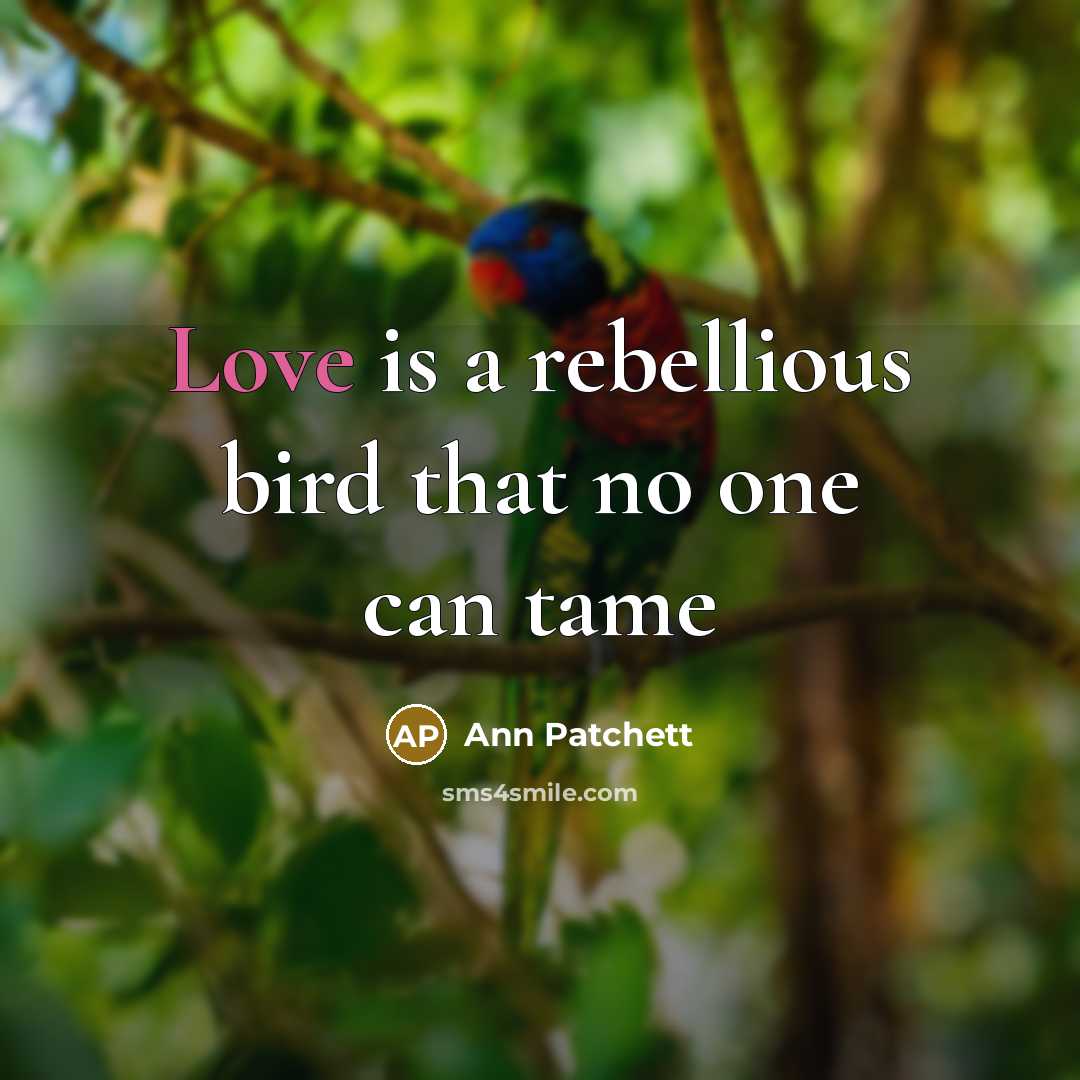 “Love is a rebellious bird that no one can tame” quote by Ann Patchett