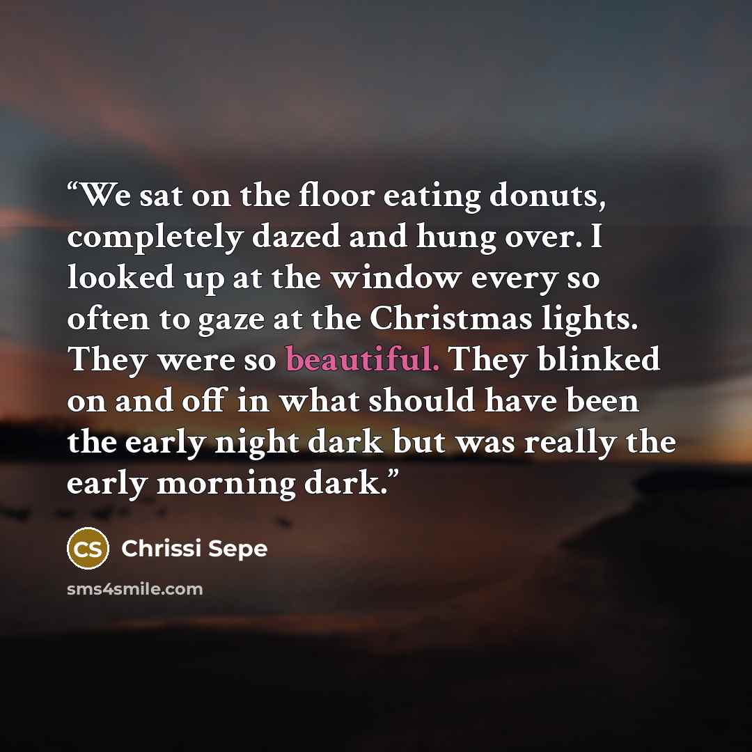 “We sat on the floor eating donuts, completely dazed and hung over. I looked up at the window every so often to gaze at the Christmas lights. They were so beautiful. They blinked on and off in what should have been the early night dark but was really the early morning dark.” quote by Chrissi Sepe