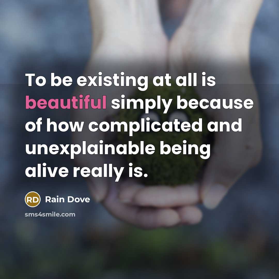 “To be existing at all is beautiful simply because of how complicated and unexplainable being alive really is.” quote by Rain Dove