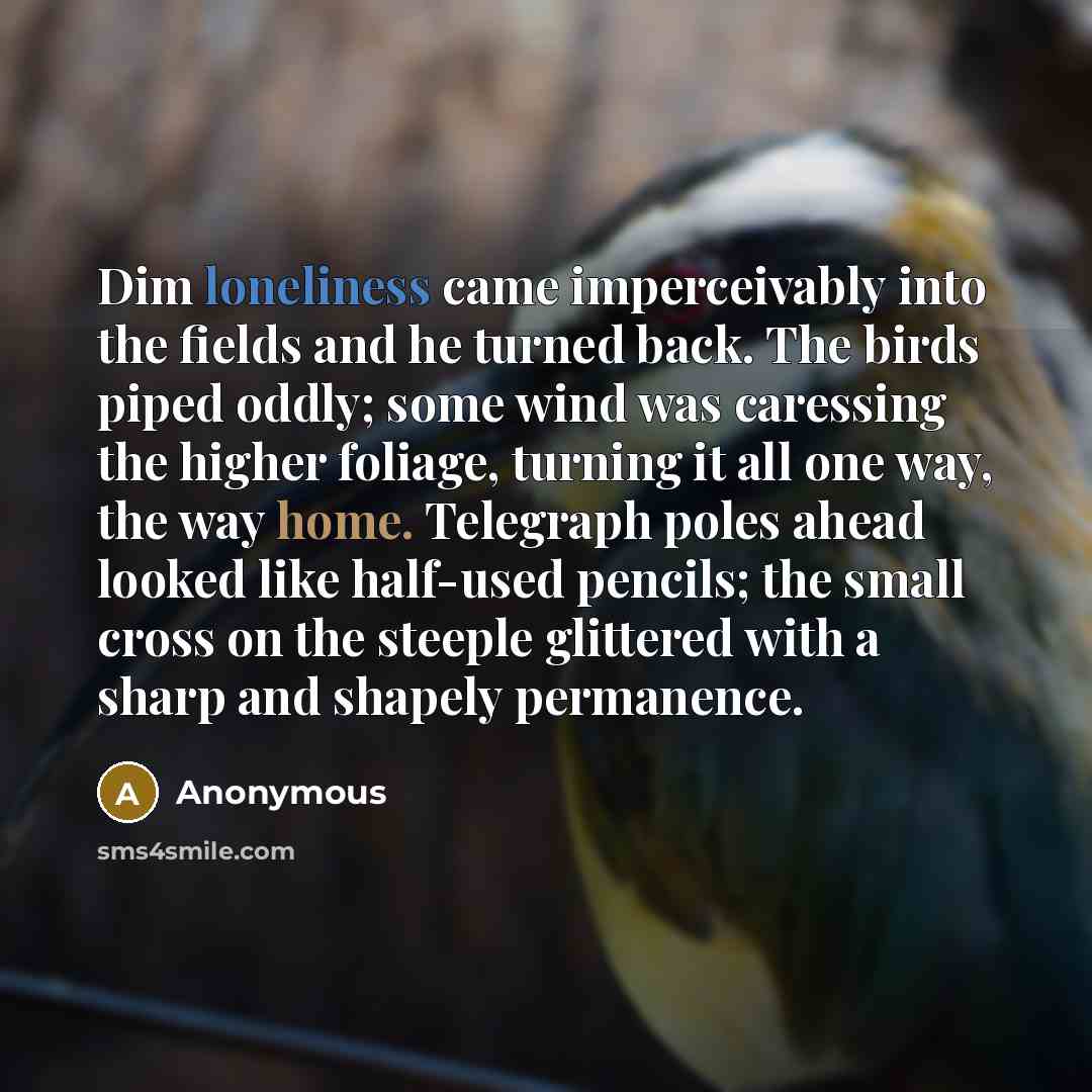 “Dim loneliness came imperceivably into the fields and he turned back. The birds piped oddly; some wind was caressing the higher foliage, turning it all one way, the way home. Telegraph poles ahead looked like half-used pencils; the small cross on the steeple glittered with a sharp and shapely…” quote by Anonymous