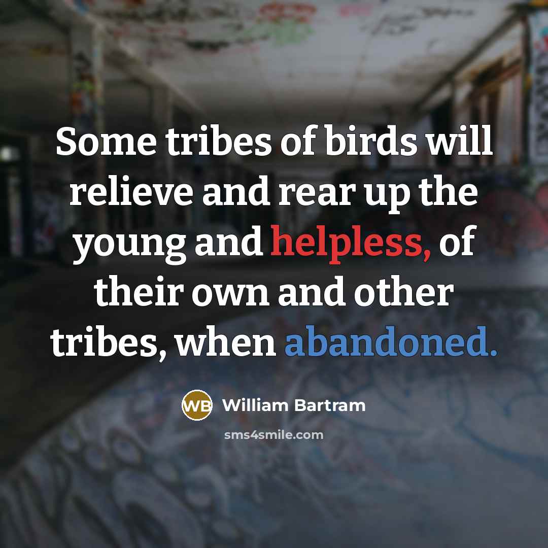 “Some tribes of birds will relieve and rear up the young and helpless, of their own and other tribes, when abandoned.” quote by William Bartram
