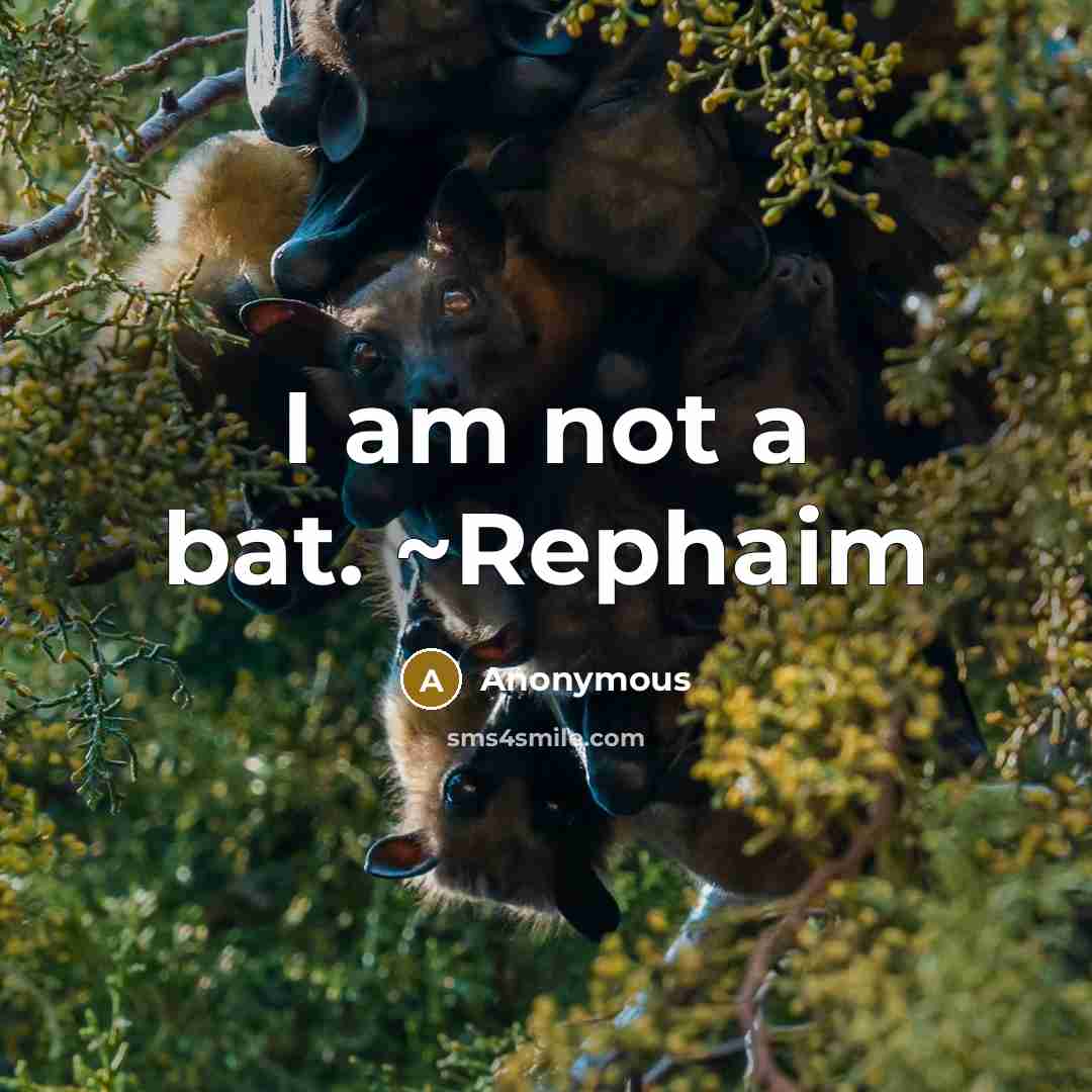 “I am not a bat. ~Rephaim” quote by Anonymous