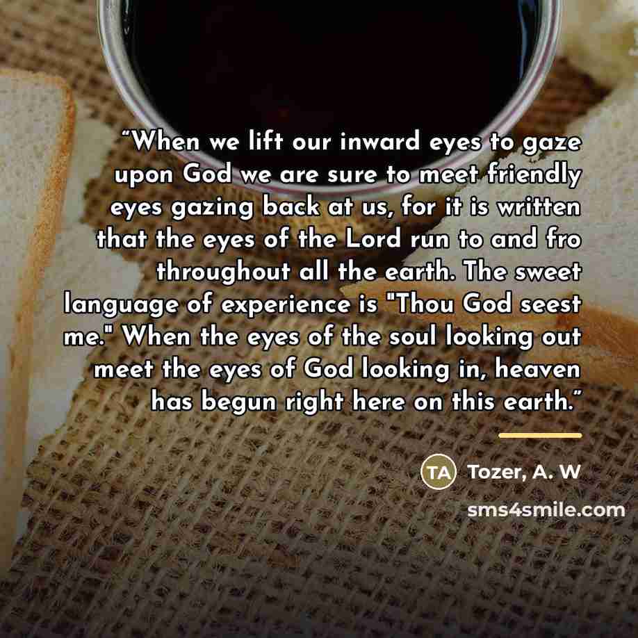 “When we lift our inward eyes to gaze upon God we are sure to meet friendly eyes gazing back at us, for it is written that the eyes of the Lord run to and fro throughout all the earth. The sweet language of experience is "Thou God seest me." When the eyes of the soul looking out meet the eyes of…” quote by Tozer, A. W