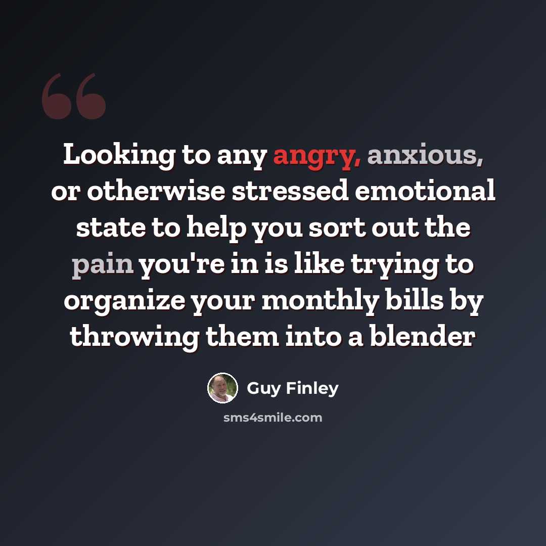 “Looking to any angry, anxious, or otherwise stressed emotional state to help you sort out the pain you're in is like trying to organize your monthly bills by throwing them into a blender” quote by Guy Finley