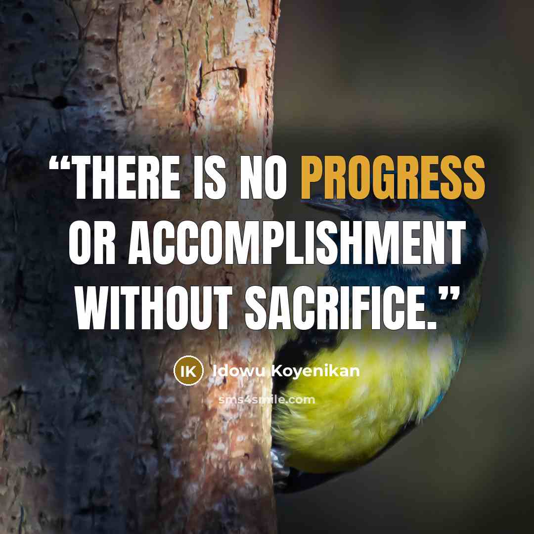 “There is no progress or accomplishment without sacrifice.” quote by Idowu Koyenikan