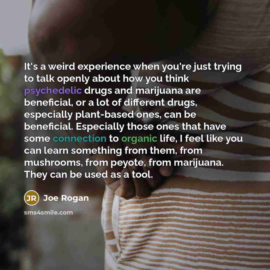 “It's a weird experience when you're just trying to talk openly about how you think psychedelic drugs and marijuana are beneficial, or a lot of different drugs, especially plant-based ones, can be beneficial. Especially those ones that have some connection to organic life, I feel like you can learn…” quote by Joe Rogan