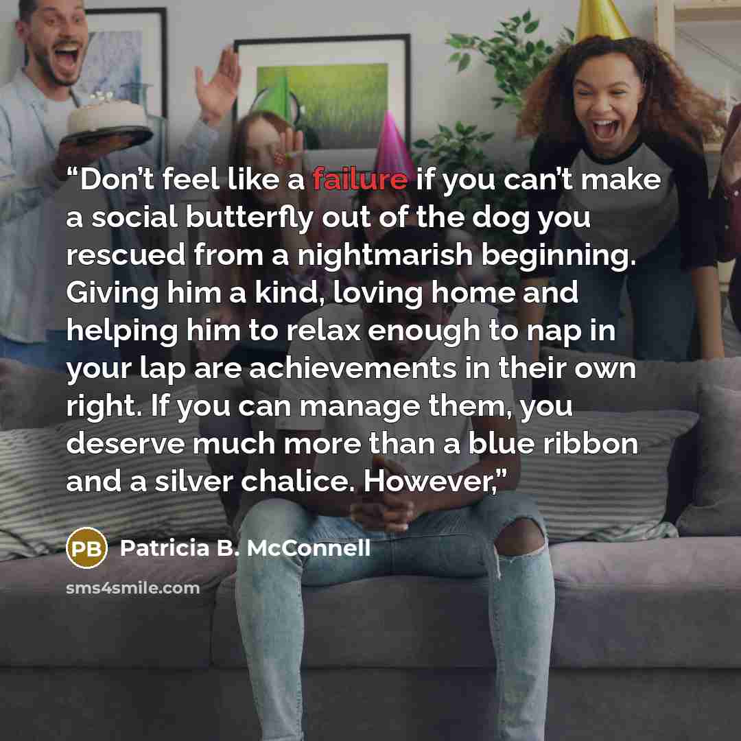 “Don’t feel like a failure if you can’t make a social butterfly out of the dog you rescued from a nightmarish beginning. Giving him a kind, loving home and helping him to relax enough to nap in your lap are achievements in their own right. If you can manage them, you deserve much more than a blue…” quote by Patricia B. McConnell