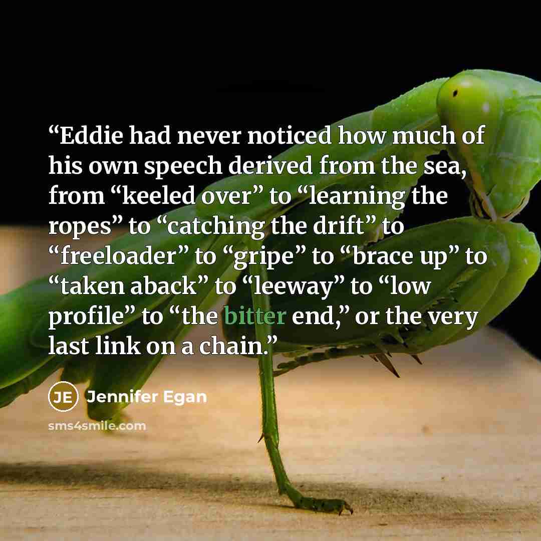 “Eddie had never noticed how much of his own speech derived from the sea, from “keeled over” to “learning the ropes” to “catching the drift” to “freeloader” to “gripe” to “brace up” to “taken aback” to “leeway” to “low profile” to “the bitter end,” or the very last link on a chain.” quote by Jennifer Egan