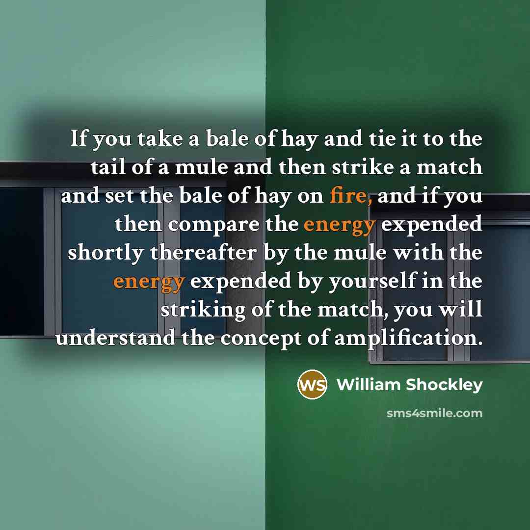 “If you take a bale of hay and tie it to the tail of a mule and then strike a match and set the bale of hay on fire, and if you then compare the energy expended shortly thereafter by the mule with the energy expended by yourself in the striking of the match, you will understand the concept of…” quote by William Shockley