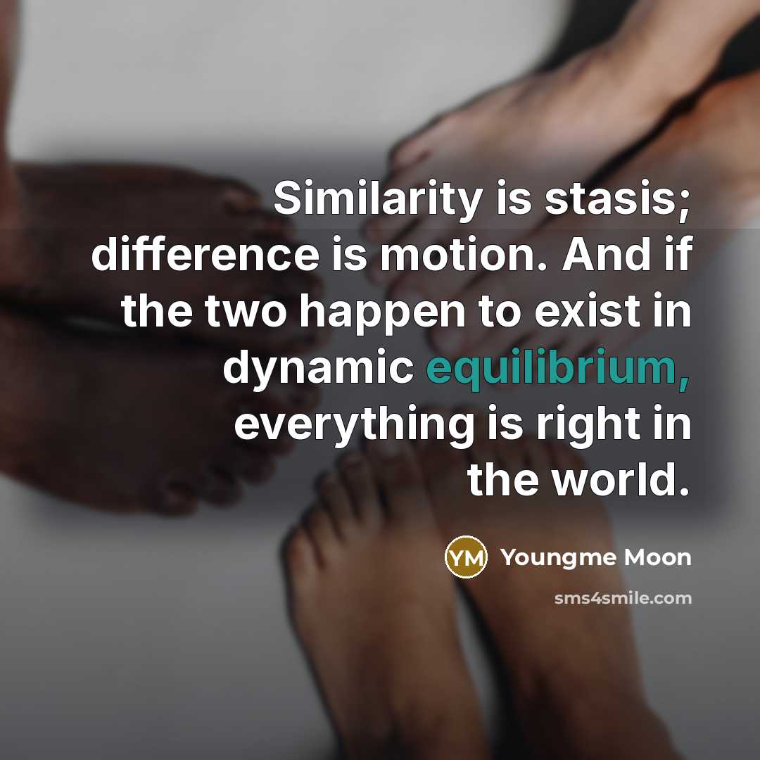 “Similarity is stasis; difference is motion. And if the two happen to exist in dynamic equilibrium, everything is right in the world.” quote by Youngme Moon