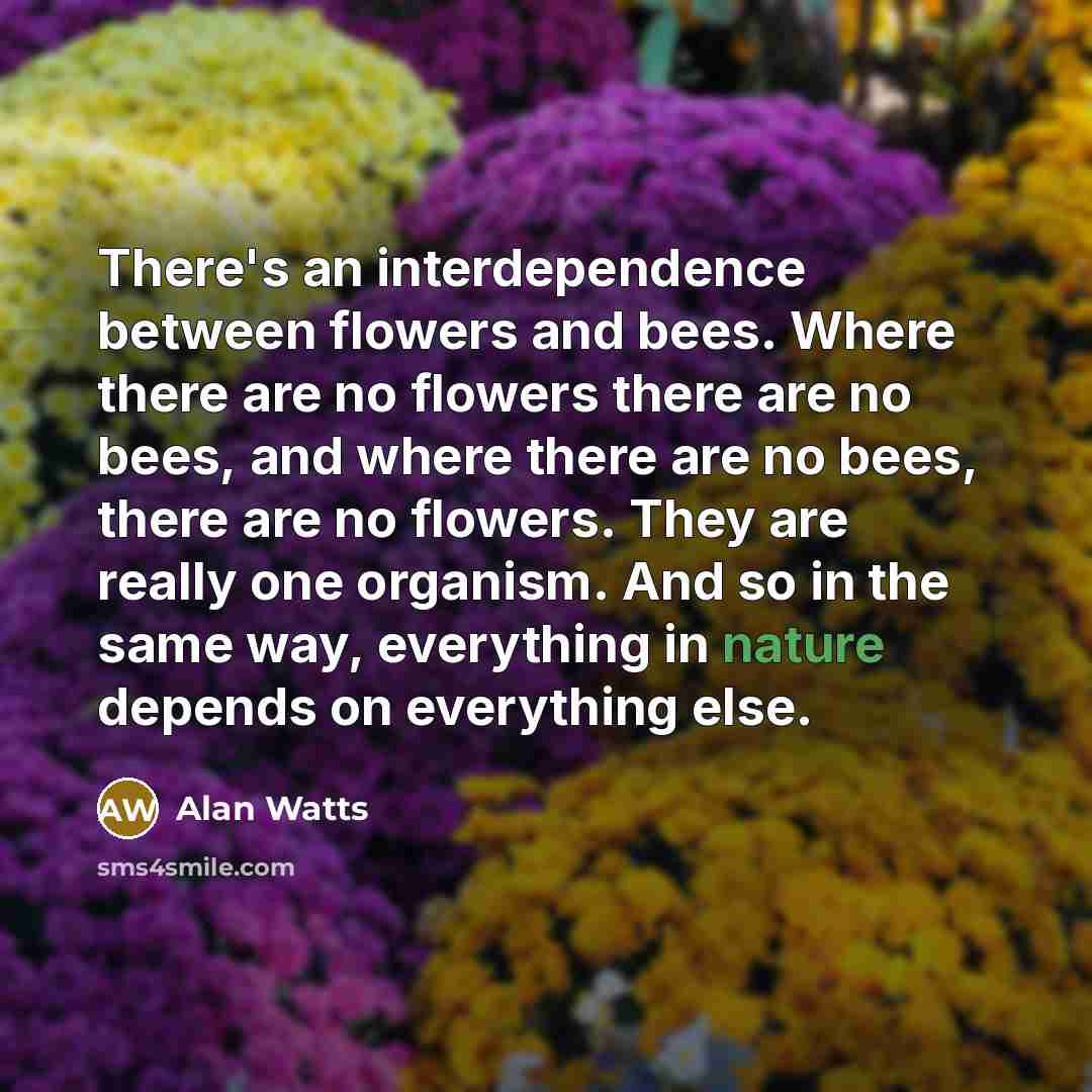 “There's an interdependence between flowers and bees. Where there are no flowers there are no bees, and where there are no bees, there are no flowers. They are really one organism. And so in the same way, everything in nature depends on everything else.” quote by Alan Watts