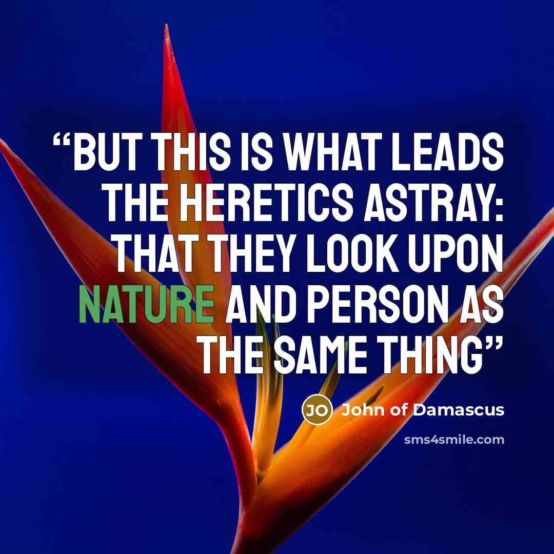 “But this is what leads the heretics astray: that they look upon nature and person as the same thing” quote by John of Damascus