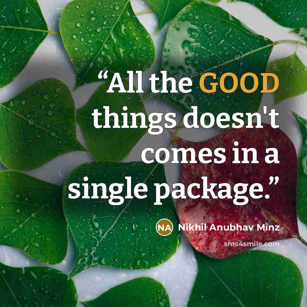 “All the GOOD things doesn't comes in a single package.” quote by Nikhil Anubhav Minz