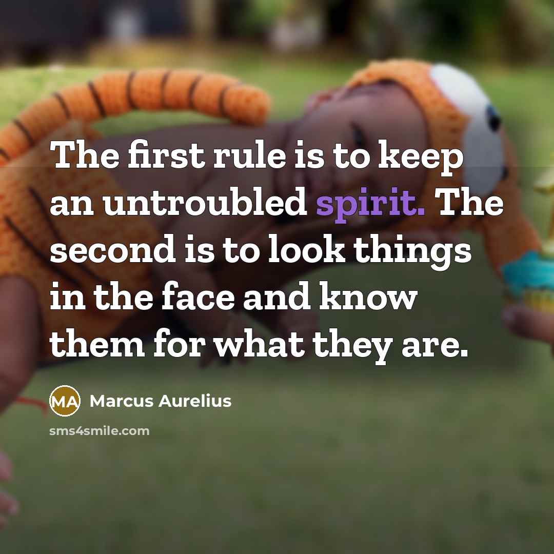 “The first rule is to keep an untroubled spirit. The second is to look things in the face and know them for what they are.” quote by Marcus Aurelius