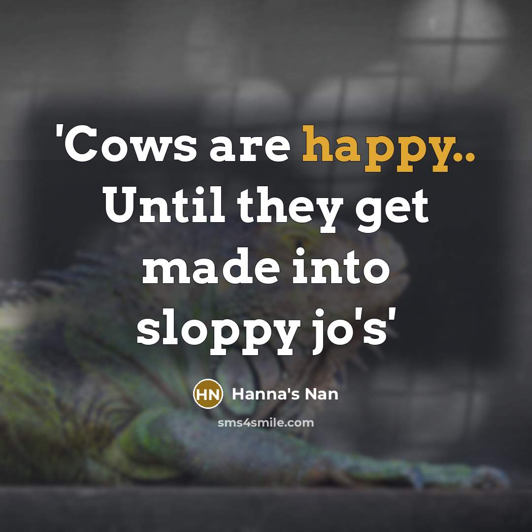 “'Cows are happy.. Until they get made into sloppy jo's'” quote by Hanna's Nan