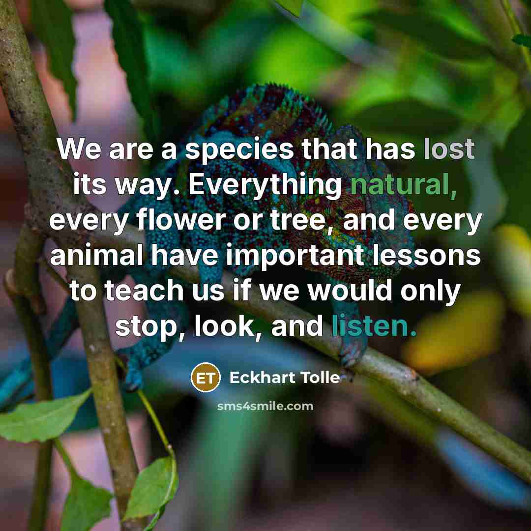 “We are a species that has lost its way. Everything natural, every flower or tree, and every animal have important lessons to teach us if we would only stop, look, and listen.” quote by Eckhart Tolle