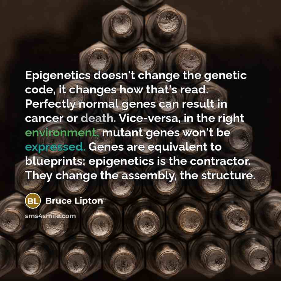 “Epigenetics doesn't change the genetic code, it changes how that's read. Perfectly normal genes can result in cancer or death. Vice-versa, in the right environment, mutant genes won't be expressed. Genes are equivalent to blueprints; epigenetics is the contractor. They change the assembly, the…” quote by Bruce Lipton