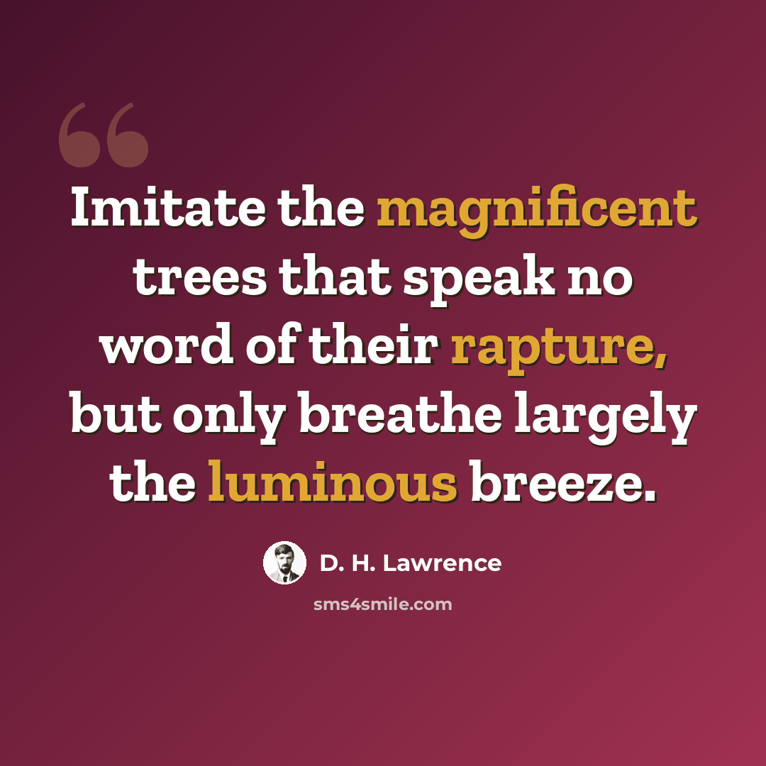 “Imitate the magnificent trees that speak no word of their rapture, but only breathe largely the luminous breeze.” quote by D. H. Lawrence