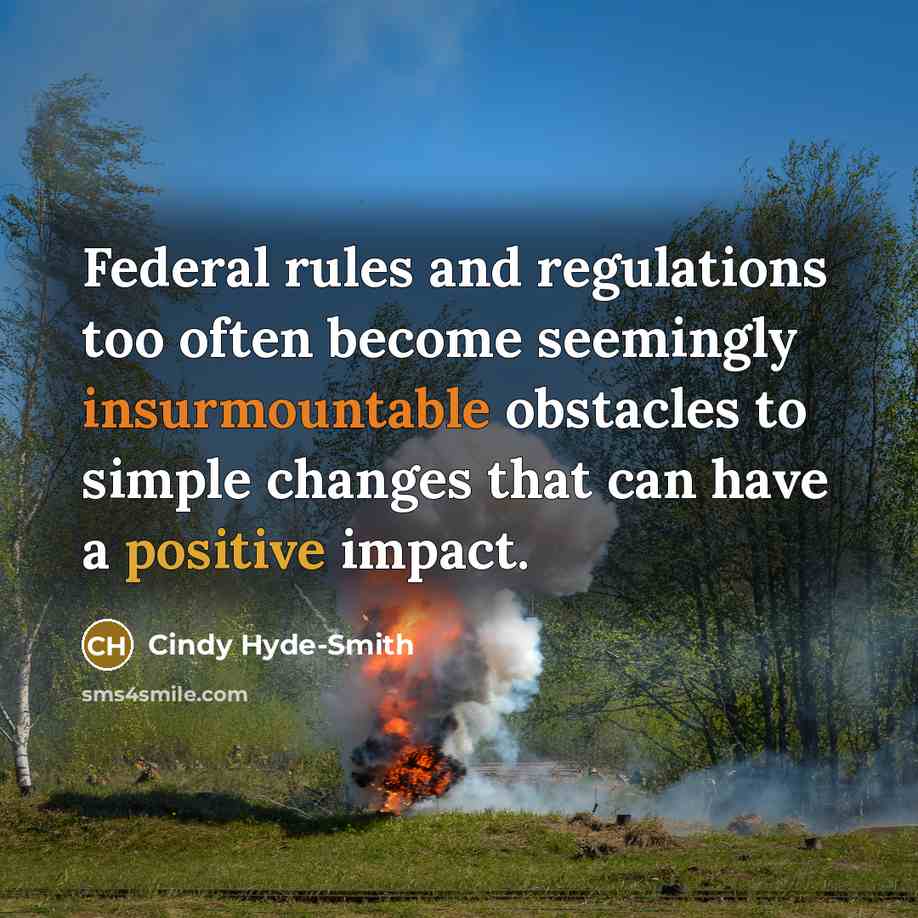 “Federal rules and regulations too often become seemingly insurmountable obstacles to simple changes that can have a positive impact.” quote by Cindy Hyde-Smith