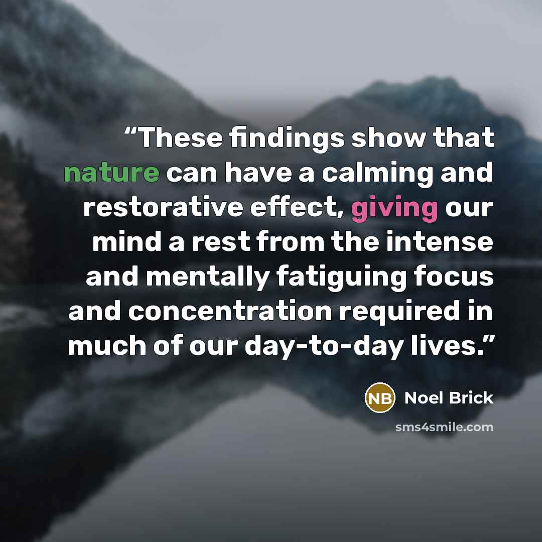 “These findings show that nature can have a calming and restorative effect, giving our mind a rest from the intense and mentally fatiguing focus and concentration required in much of our day-to-day lives.” quote by Noel Brick