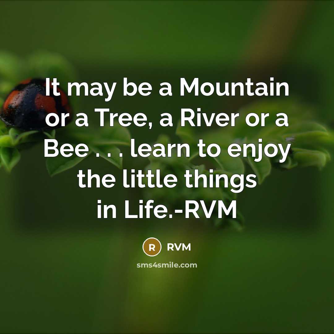 “It may be a Mountain or a Tree, a River or a Bee . . . learn to enjoy the little things in Life.-RVM” quote by RVM