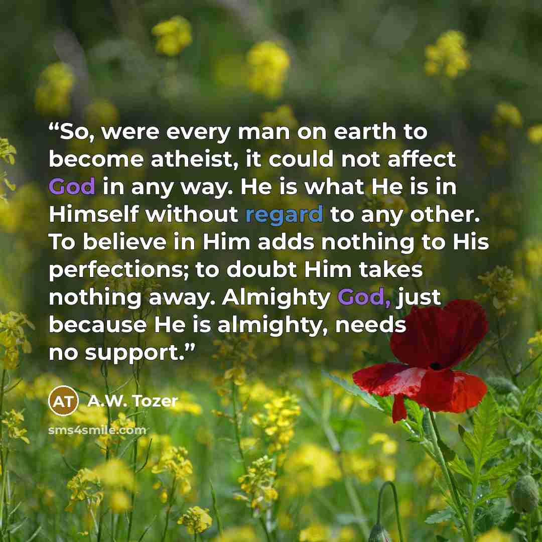 “So, were every man on earth to become atheist, it could not affect God in any way. He is what He is in Himself without regard to any other. To believe in Him adds nothing to His perfections; to doubt Him takes nothing away. Almighty God, just because He is almighty, needs no support.” quote by A.W. Tozer