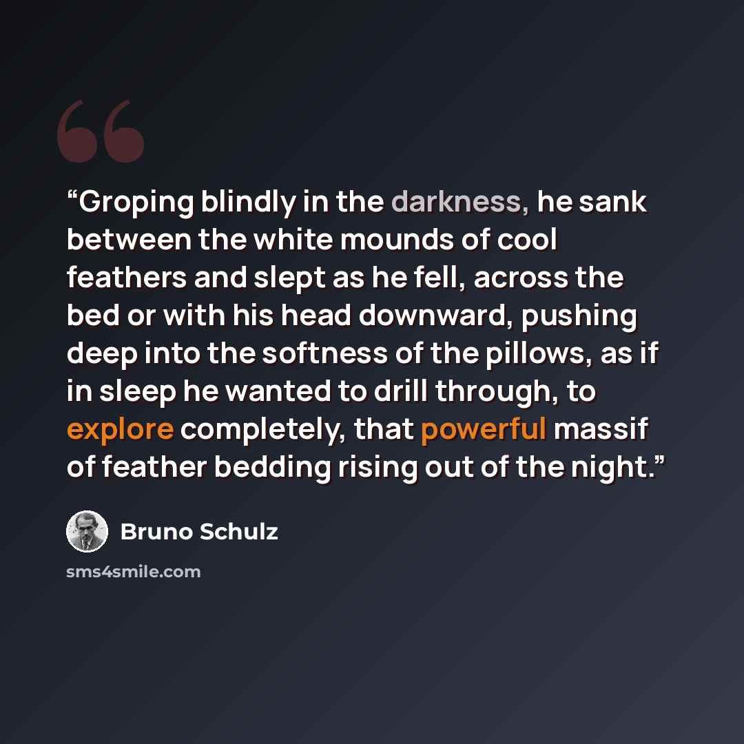 “Groping blindly in the darkness, he sank between the white mounds of cool feathers and slept as he fell, across the bed or with his head downward, pushing deep into the softness of the pillows, as if in sleep he wanted to drill through, to explore completely, that powerful massif of feather…” quote by Bruno Schulz