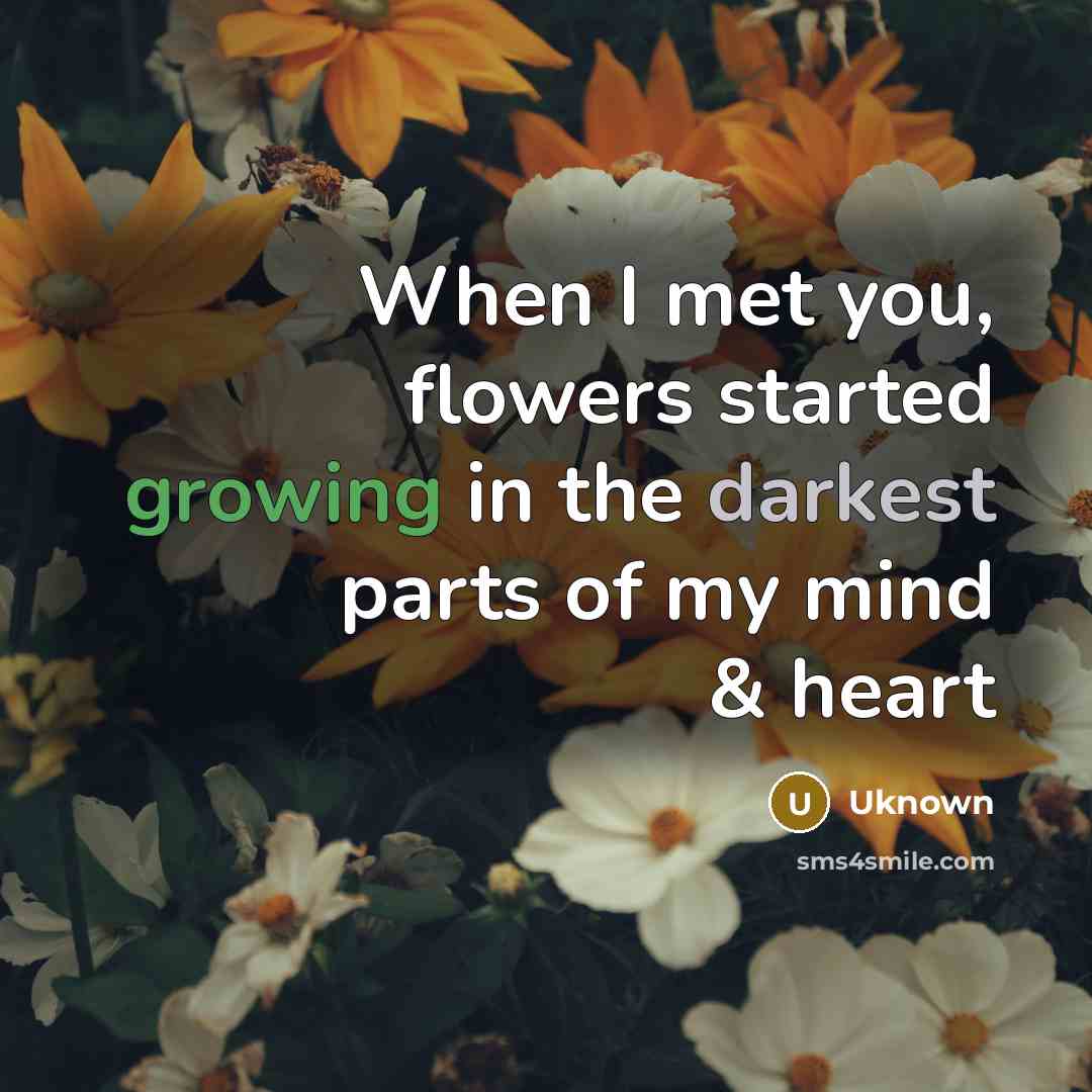 “When I met you, flowers started growing in the darkest parts of my mind & heart” quote by Uknown