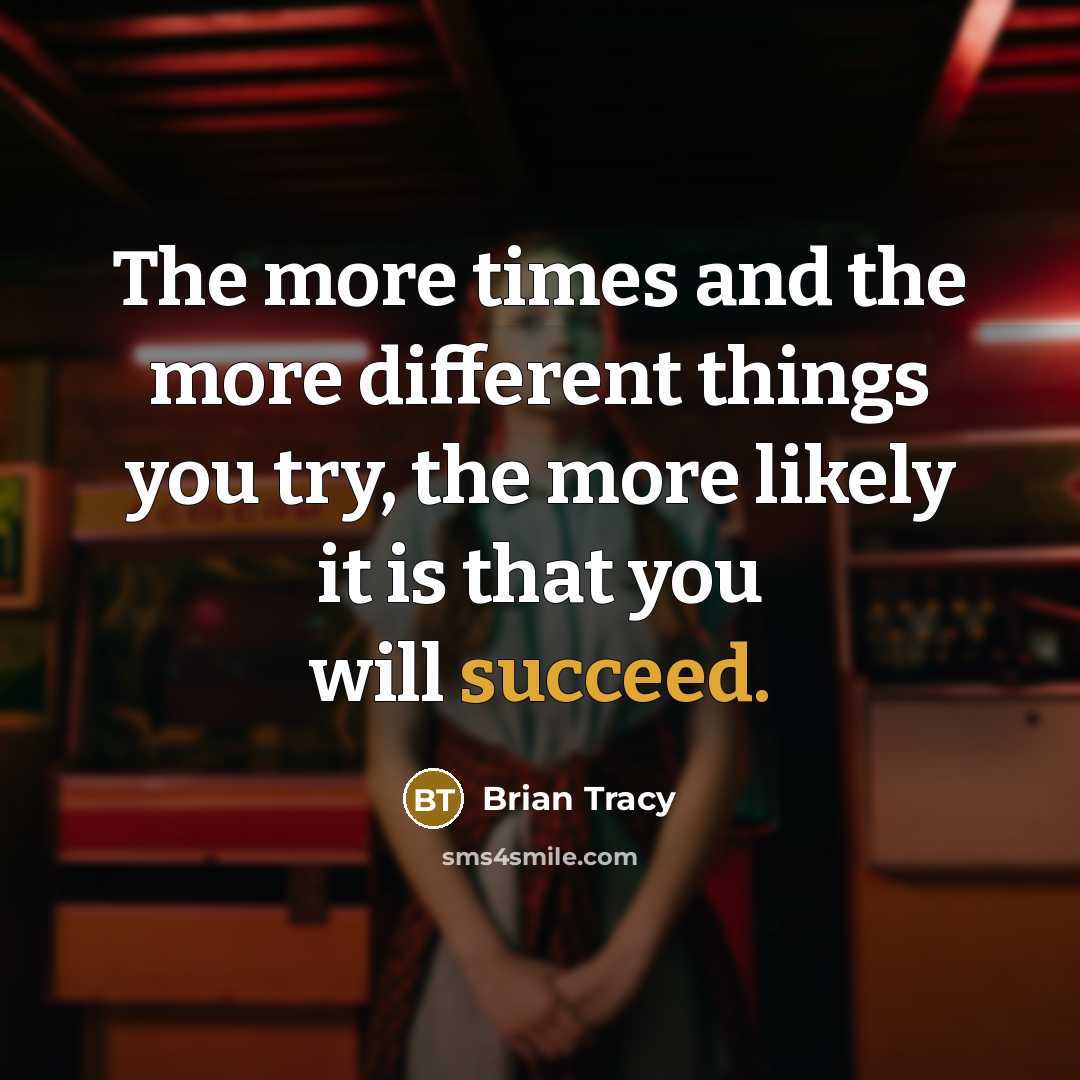 “The more times and the more different things you try, the more likely it is that you will succeed.” quote by Brian Tracy