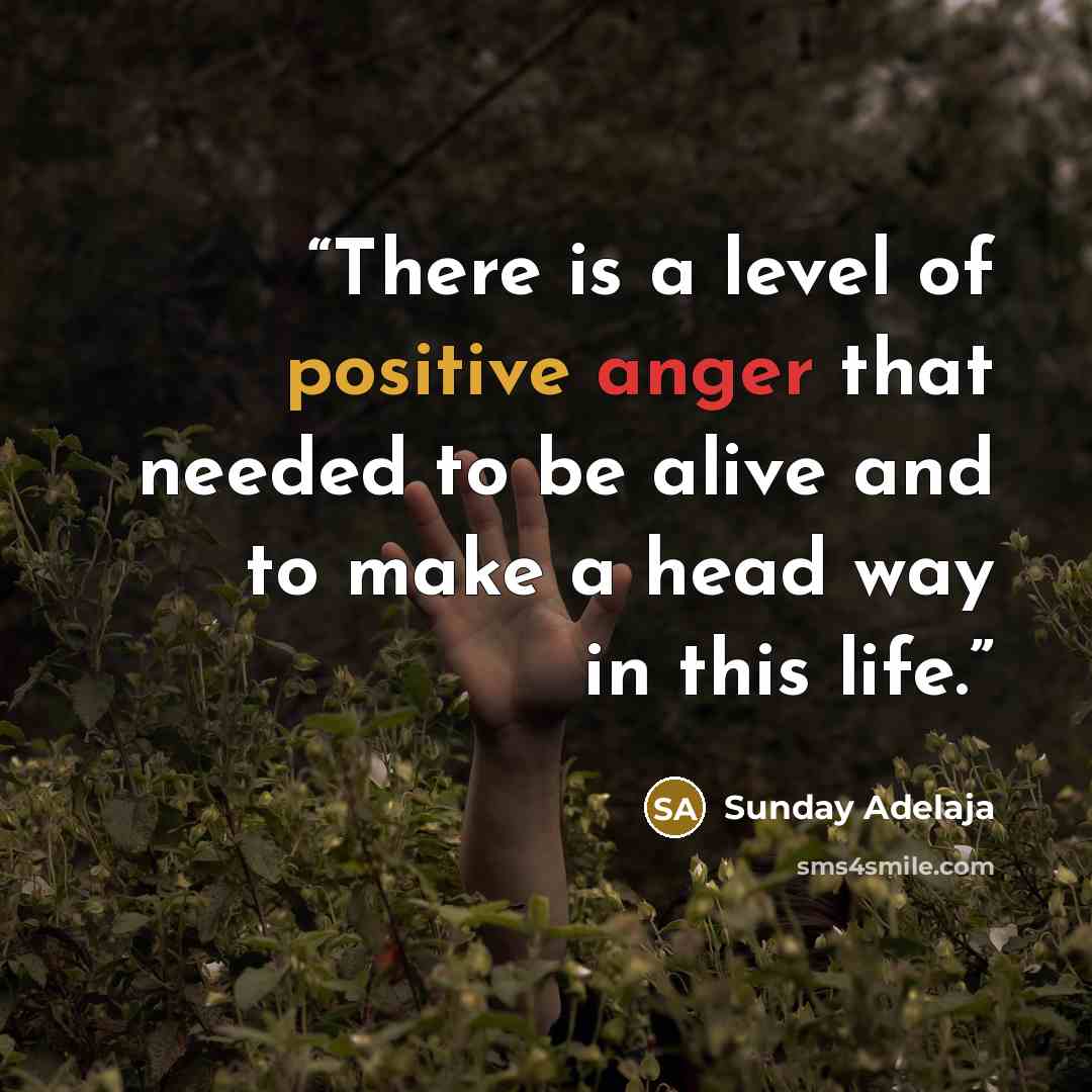 “There is a level of positive anger that needed to be alive and to make a head way in this life.” quote by Sunday Adelaja