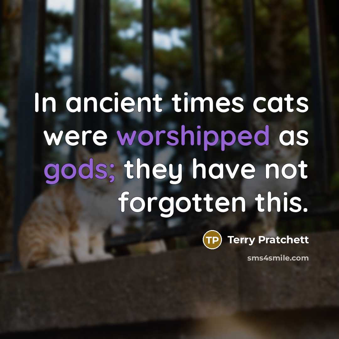 “In ancient times cats were worshipped as gods; they have not forgotten this.” quote by Terry Pratchett