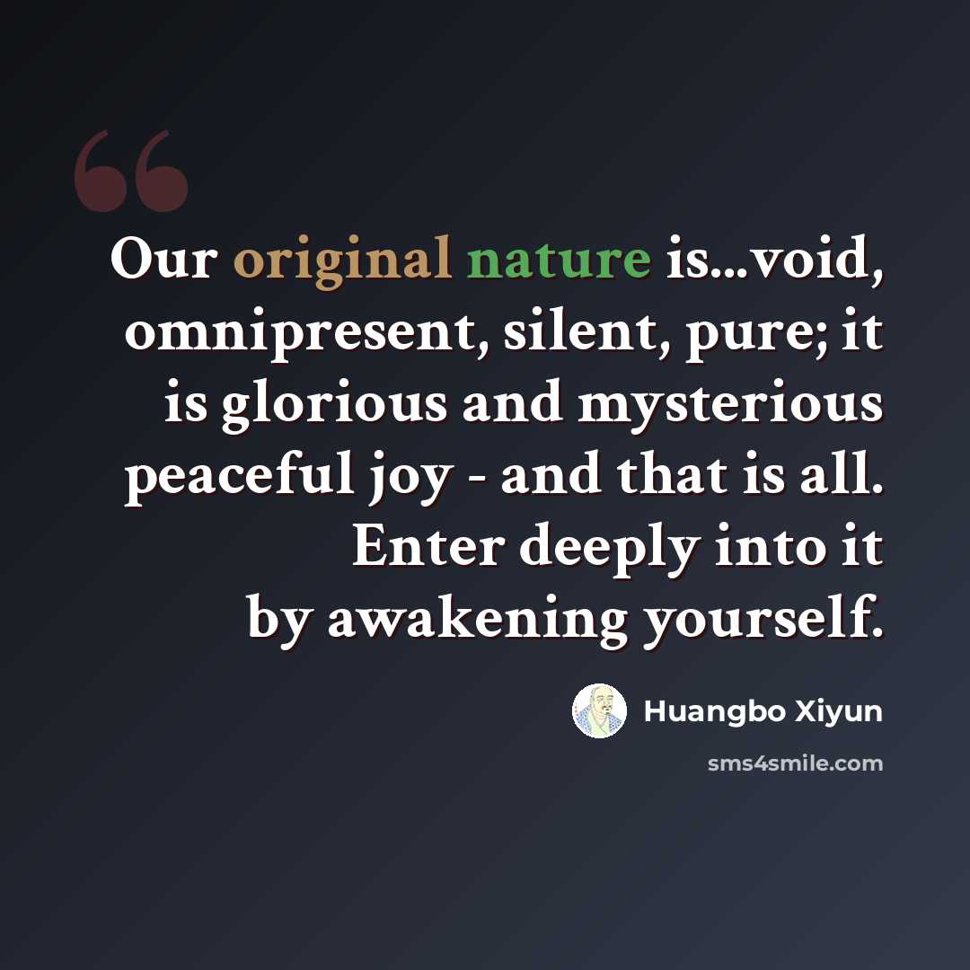 “Our original nature is...void, omnipresent, silent, pure; it is glorious and mysterious peaceful joy - and that is all. Enter deeply into it by awakening yourself.” quote by Huangbo Xiyun
