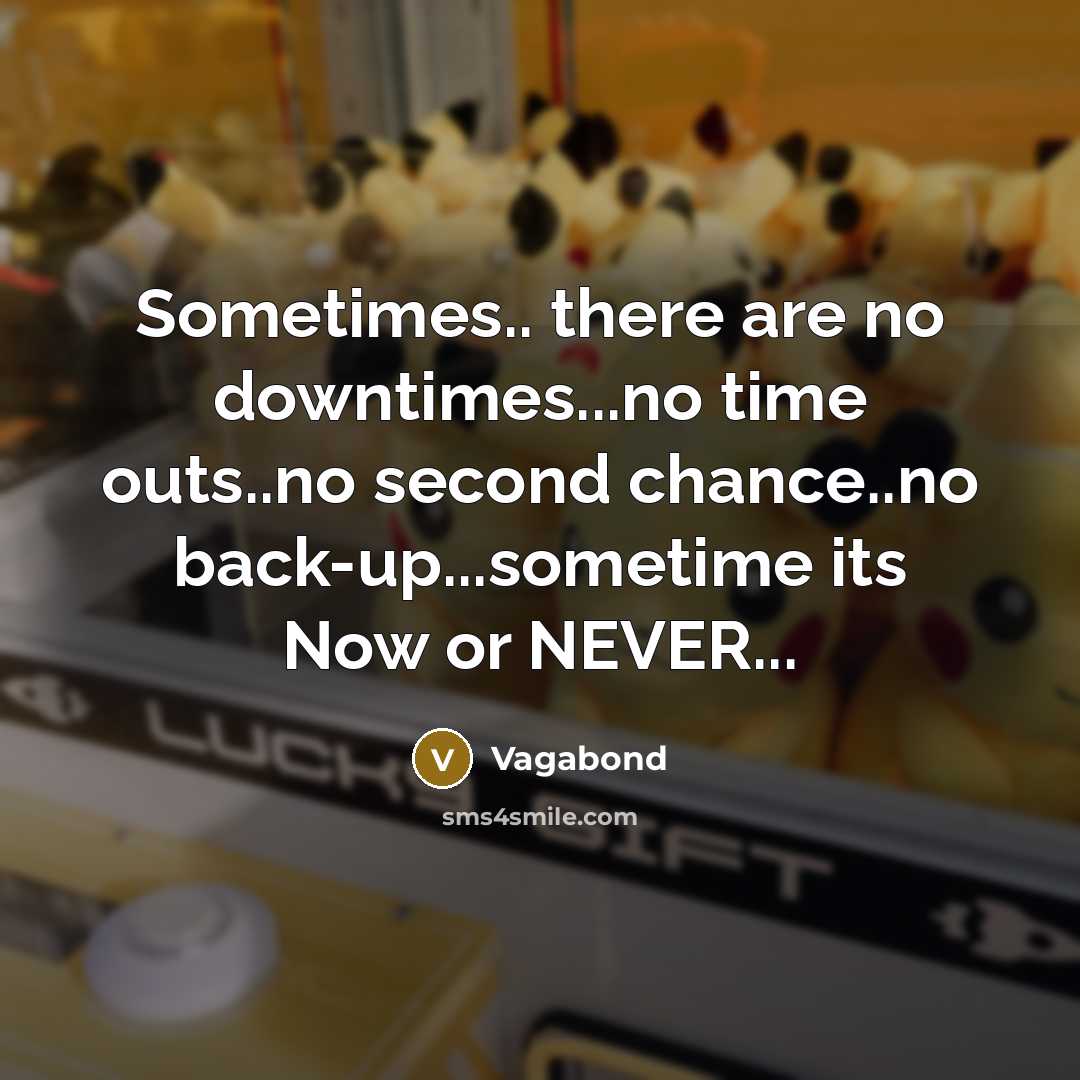 “Sometimes.. there are no downtimes...no time outs..no second chance..no back-up...sometime its Now or NEVER...” quote by Vagabond