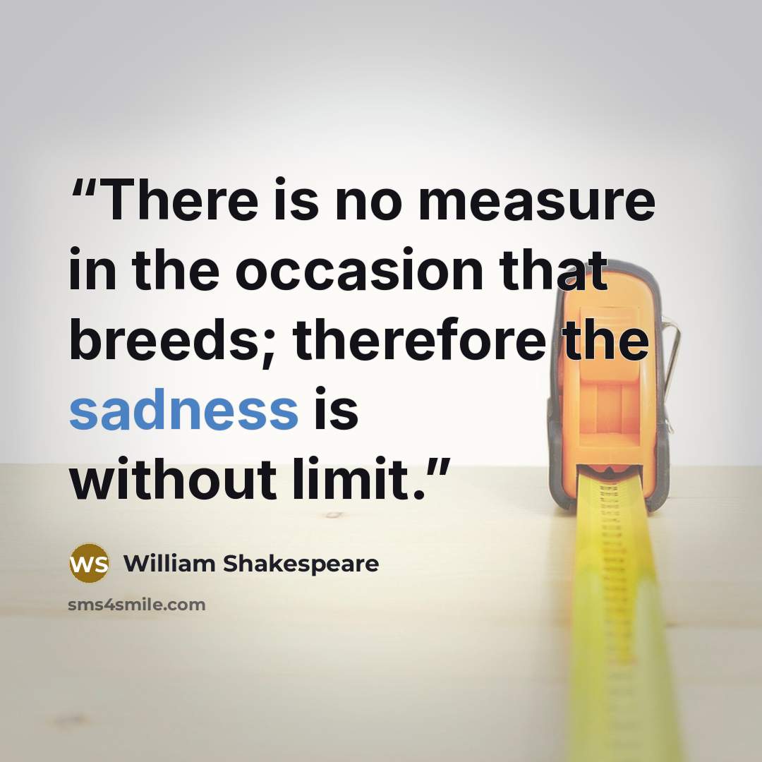 “There is no measure in the occasion that breeds; therefore the sadness is without limit.” quote by William Shakespeare